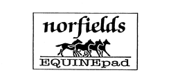 NORFIELDS EQUINEPAD