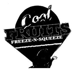 COOL FRUITS FREEZE N SQUEEZE