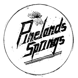 PINELANDS SPRINGS