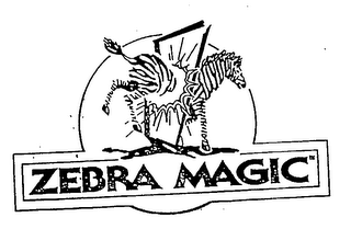 ZEBRA MAGIC