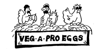 VEG-A-PRO EGGS