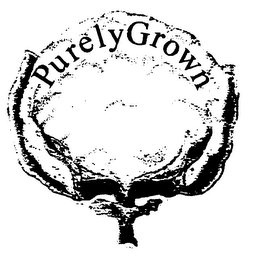 PURELYGROWN