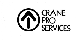 CRANE PRO SERVICES