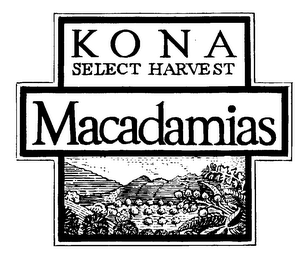 KONA SELECT HARVEST MACADAMIAS