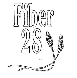 FIBER 28