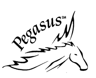 PEGASUS