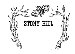 STONY HILL