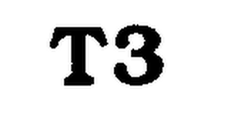 T3