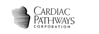 CARDIAC PATHWAYS CORPORATION