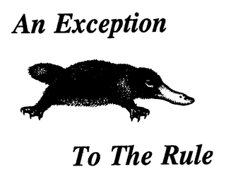 AN EXCEPTION TO THE RULE