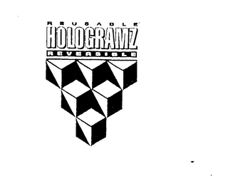 REUSABLE HOLOGRAMZ REVERSIBLE