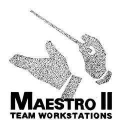 MAESTRO II TEAM WORKSTATIONS