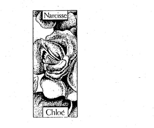 NARCISSE CHLOE