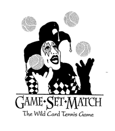 GAME SET MATCH THE WILD CARD TENNIS GAME