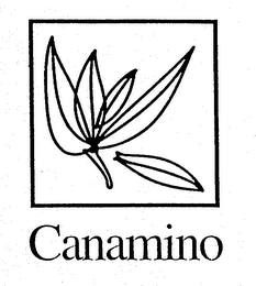 CANAMINO