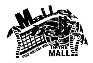 MALLEY BALL PRO BEACH VOLLEYBALL IN THE MALL