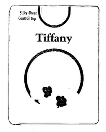 TIFFANY SILKY SHEER CONTROL TOP