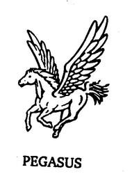 PEGASUS