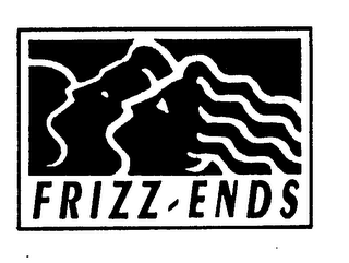 FRIZZ-ENDS