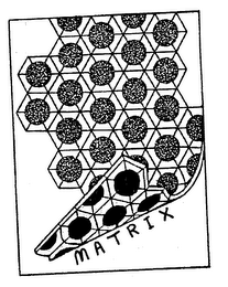 MATRIX