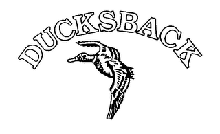 DUCKSBACK