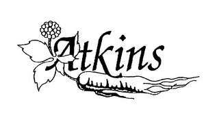 ATKINS