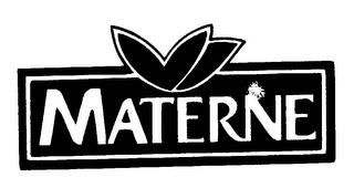 MATERNE