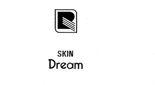 SKIN DREAM