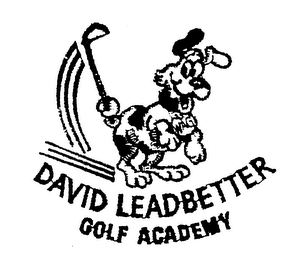 DAVID LEADBETTER GOLF ACADEMY