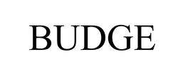 BUDGE INDUSTRIES, LLC