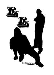 LOWER LEVEL ORGANIZATION