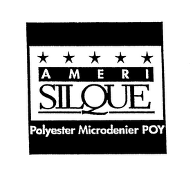 AMERI SILQUE POLYESTER MICRODENIER POY