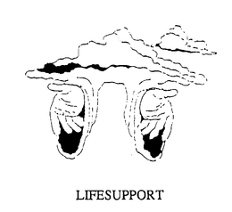 LIFESUPPORT