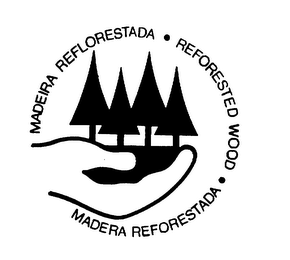 MADEIRA REFLORESTADA - REFORESTED WOOD - MADERA REFORESTADA