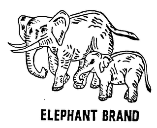 ELEPHANT BRAND