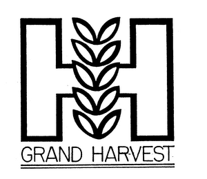 H GRAND HARVEST