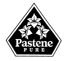 PASTENE PURE