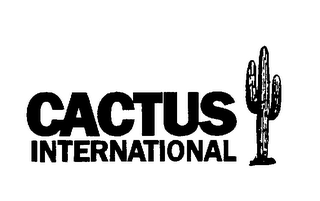 CACTUS INTERNATIONAL