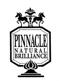 PINNACLE NATURAL BRILLIANCE