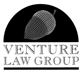 VENTURE LAW GROUP