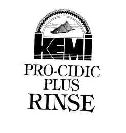 KEMI LABORATORIES PRO-CIDIC-PLUS RINSE