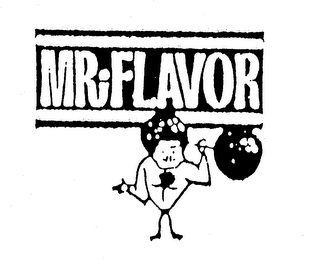 MR FLAVOR