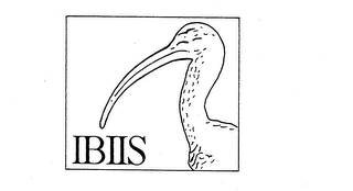 IBIIS