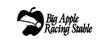 BIG APPLE RACING STABLE