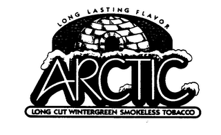 ARCTIC LONG LASTING FLAVOR LONG CUT WINTERGREEN SMOKELESS TOBACCO