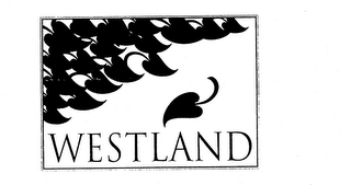 WESTLAND