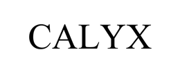 CALYX TECHNOLOGY, INC.