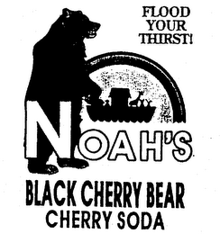 FLOOD YOUR THIRST! NOAH'S BLACK CHERRY BEAR CHERRY SODA