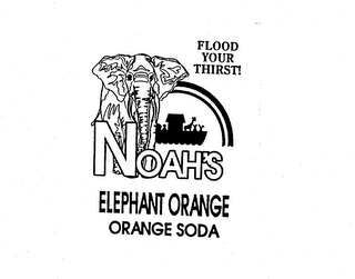 FLOOD YOUR THIRST! NOAH'S ELEPHANT ORANGE ORANGE SODA