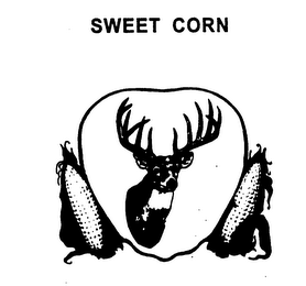 SWEET CORN